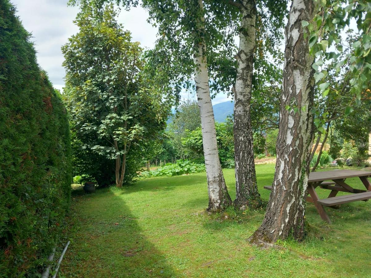 Maisonnette A La Campagne Ariege Villa Saint-Girons  Eksteriør bilde