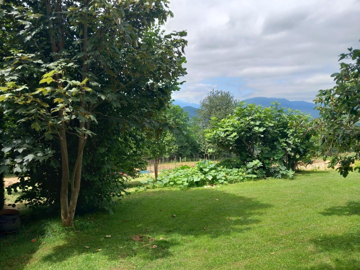 Maisonnette A La Campagne Ariege Villa Saint-Girons  Eksteriør bilde
